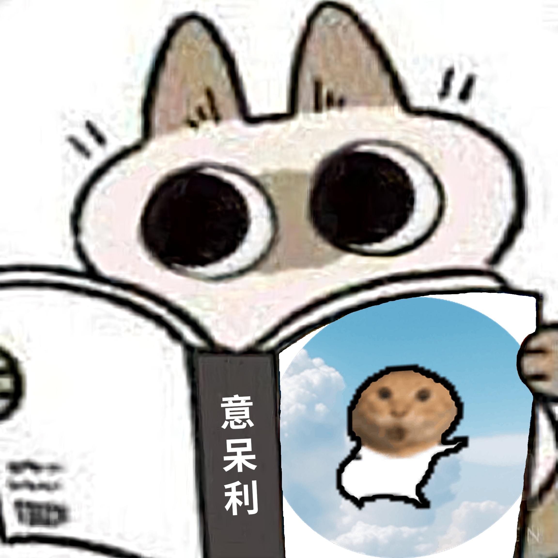 meme read_book